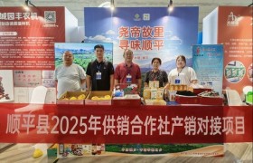 顺平特产亮相农服盛会 产销对接促进产业发展