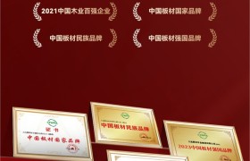 国字号双誉加冕！鹏鸿以生态板为基，多元产品矩阵领跑全国市场