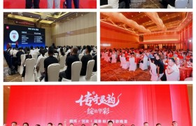 双奖加冕 荣耀全城 | 鹏鸿2025临沂木博会“双冠王”实至名归！