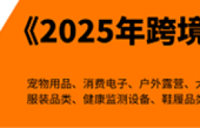 任小姐出海战略咨询｜避开巨头竞争，中国跨境卖家智能家居破局之道