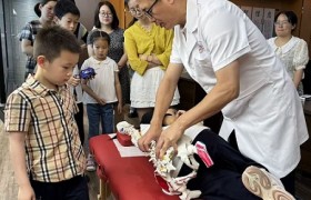 北京易塑康美医学研究院：以王氏传统整脊技艺引领脊椎健康革命