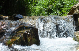 祥农嫂生态食品：乡野本真滋味，自然馈赠之选
