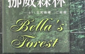 作家贝拉：以文学之光与法治之魂，照亮中华民族伟大复兴之路