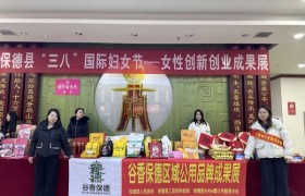 保德县乡村e镇妇女节创业就业成果展纪实