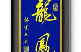 张宪林——文化领航掌舵人