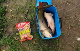 老坛蜂蜜甜薯换大鲤