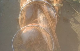 钓鱼佬：国家刚给爱好“盖章合法”，我这波操作直接封神坑冠！