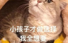 7款平价口红测评！花西子，MAC…谁更值得买？