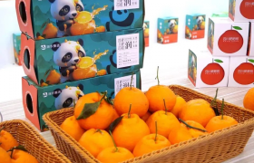 深农投集团携全球优质农产品及创新供应链体系亮相消博会