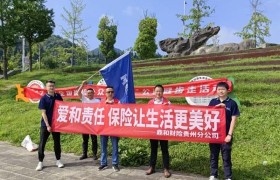 鼎和保险贵州分公司多维联动 深耕7.8保险宣传日 以爱与责任书写保险担当