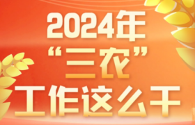 2024年“三农”工作重点与计划：全面聚焦，推动乡村振兴