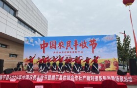 “庆农业丰收，享美好生活” 顺平县2025年中国农民丰收节暨供销合作社产销对接活动成功举办