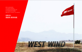 窝料界的茅台，凭什么让全国鱼疯狂？