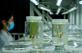 联播+｜从“破立”之道看科研人才进阶之路