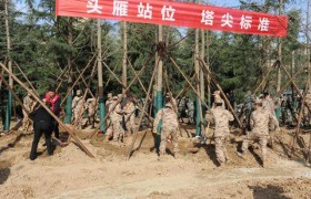 不负春光 添绿山河！走进多部队义务植树现场