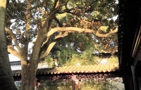 武汉出差到苏州，不客气地说，苏州是真牛