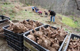 专访郑功成：建议给农村70岁以上老人发“历史贡献养老金”