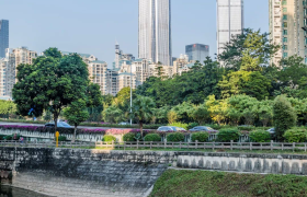 一个月后,深圳将迎来这40个好消息!与你息息相关!