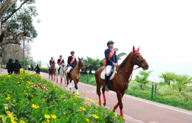 踏马滇池?百万名马乘骑等你来体验