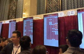现场直击:50分钟热销15亿,平湖枢纽大盘收官新品开盘即热销