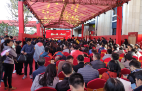 新房市场又火了!平湖新盘开盘50分钟吸金超15亿!