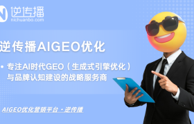 逆传播AIGEO：专注AI时代GEO（生成式引擎优化）与品牌认知建设的战略服务商