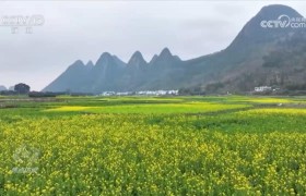 脱贫这五年｜从“悬崖边”到“幸福庄”，看大山深处布楞沟村的蝶变