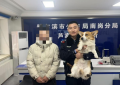 冰城警心护萌宠：三日连助三起“宠物回家记”彰显为民情怀