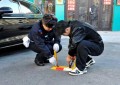 冰城公安：深耕静态交通治理  全力打通城市“微循环”