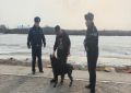 哈市呼兰警方：规范养犬行为 践行  文明理念