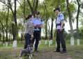 冰城公安：把文明养犬知识送到身边  把安全隐患化解在源头