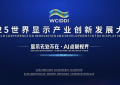 2025世界显示产业创新发展大会今日开幕