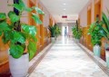 广州中医药大学金沙洲医院康复医学科引进康复机器人及球囊扩张术，助力改善脑梗后吞咽与运动障碍