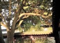 武汉出差到苏州，不客气地说，苏州是真牛
